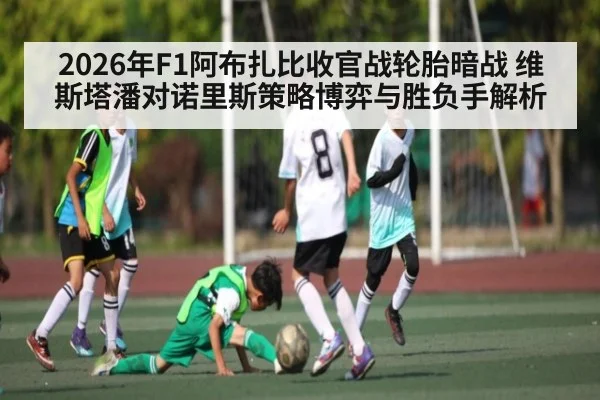2026年F1阿布扎比收官战轮胎暗战 维斯塔潘对诺里斯策略博弈与胜负手解析